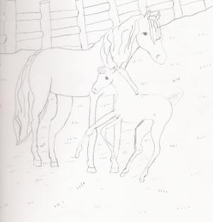 <img300*0:stuff/z/143586/Christina%2527s%2520drawings/i1173662877_1.jpg>
