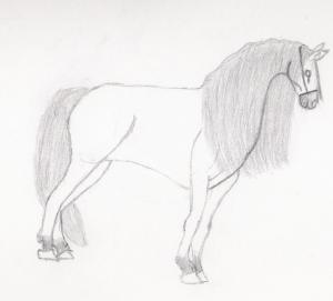 <img300*0:stuff/z/143586/Christina%2527s%2520drawings/i1182399819_5.jpg>