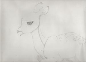 <img300*0:stuff/z/143586/Christina%2527s%2520drawings/i1182399819_7.jpg>
