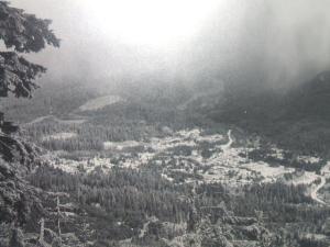 <img300*0:stuff/z/145961/Nightblade/i1218818377_3.jpg>