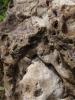 <imgr0*100:stuff/z/147496/%2522Hole-y%2522%2520Rocks/P7040020.JPG>