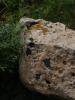 <imgr0*100:stuff/z/147496/%2522Hole-y%2522%2520Rocks/P7040022.JPG>