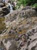 <imgr0*100:stuff/z/147496/%2522Hole-y%2522%2520Rocks/P7040031.JPG>