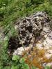 <imgr0*100:stuff/z/147496/%2522Hole-y%2522%2520Rocks/P7040033.JPG>