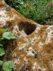 <imgr0*100:stuff/z/147496/%2522Hole-y%2522%2520Rocks/P7040034.JPG>