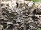 "hole-y" rocks