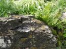 <img0*100:stuff/z/147496/%2522Hole-y%2522%2520Rocks/P7040046.JPG>