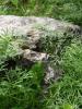<imgr0*100:stuff/z/147496/%2522Hole-y%2522%2520Rocks/P7040048.JPG>