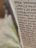<imgr0*100:stuff/z/147496/Book%2520Reference.2/PB190015.JPG>