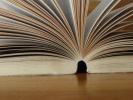 <img0*100:stuff/z/147496/Book%2520Reference/PA280107.JPG>