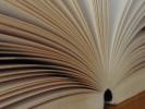 <img0*100:stuff/z/147496/Book%2520Reference/PA280108.JPG>