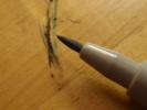 <img0*100:stuff/z/147496/Creation%2527s%2520Tools/PA280022.JPG>