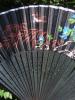 <imgl0*100:stuff/z/147496/Fan%2520Reference.1/P8030037.JPG>