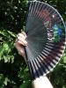 <imgl0*100:stuff/z/147496/Fan%2520Reference.1/P8030038.JPG>
