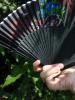 <imgl0*100:stuff/z/147496/Fan%2520Reference.1/P8030042.JPG>