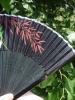 <imgl0*100:stuff/z/147496/Fan%2520Reference.1/P8030043.JPG>