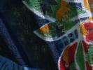 <img0*100:stuff/z/147496/Fan%2520Reference.1/P8030064.JPG>