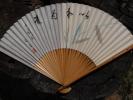 <img0*100:stuff/z/147496/Fan%2520Reference.1/P8030065.JPG>