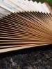 <imgl0*100:stuff/z/147496/Fan%2520Reference.1/P8030066.JPG>