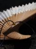 <imgl0*100:stuff/z/147496/Fan%2520Reference.1/P8030068.JPG>