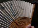 <img0*100:stuff/z/147496/Fan%2520Reference.1/P8030072.JPG>