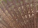 <img0*100:stuff/z/147496/Fan%2520Reference.1/P8030074.JPG>