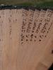 <imgr0*100:stuff/z/147496/Fan%2520Reference.1/P8030091.JPG>