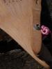 <imgr0*100:stuff/z/147496/Fan%2520Reference.1/P8030094.JPG>