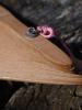 <imgr0*100:stuff/z/147496/Fan%2520Reference.1/P8030095.JPG>