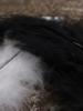 <imgr0*100:stuff/z/147496/Feathered%2520Dreams/P7030092.JPG>