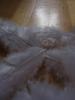 <imgr0*100:stuff/z/147496/Feathered%2520Dreams/P7040003%20%282%29.JPG>