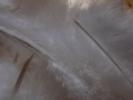 <img0*100:stuff/z/147496/Feathered%2520Dreams/P7040006%20%282%29.JPG>