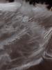 <imgr0*100:stuff/z/147496/Feathered%2520Dreams/P7040008%20%282%29.JPG>