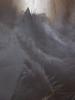 <imgr0*100:stuff/z/147496/Feathered%2520Dreams/P7040010%20%282%29.JPG>