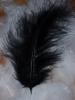 <imgl0*100:stuff/z/147496/Feathered%2520Dreams/P7040015%20%282%29.JPG>