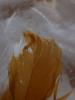 <imgr0*100:stuff/z/147496/Feathered%2520Dreams/P7040018%20%282%29.JPG>