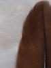 <imgr0*100:stuff/z/147496/Feathered%2520Dreams/P7040024%20%282%29.JPG>