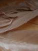 <imgr0*100:stuff/z/147496/Feathered%2520Dreams/P7040036.JPG>