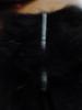 <imgr0*100:stuff/z/147496/Feathered%2520Dreams/P7040037.JPG>