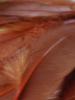 <imgr0*100:stuff/z/147496/Feathered%2520Dreams/P7040038.JPG>