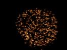 <img0*100:stuff/z/147496/Fireworks%2520Reference.1/P7040016.JPG>