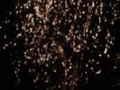 <img0*100:stuff/z/147496/Fireworks%2520Reference.1/P7040099.JPG>
