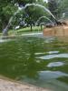 <imgr0*100:stuff/z/147496/Frugal%2520Fountains/P7040067.JPG>