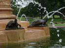 frugal fountains