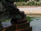 <img0*100:stuff/z/147496/Frugal%2520Fountains/P7040098.JPG>