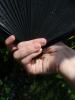 <imgl0*100:stuff/z/147496/Hands%2520Holding%2520Fans.1/P8030044.JPG>