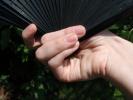 <img0*100:stuff/z/147496/Hands%2520Holding%2520Fans.1/P8030045.JPG>
