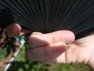 <img0*100:stuff/z/147496/Hands%2520Holding%2520Fans.1/P8030046.JPG>