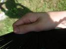 <img0*100:stuff/z/147496/Hands%2520Holding%2520Fans.1/P8030049.JPG>