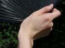 <img0*100:stuff/z/147496/Hands%2520Holding%2520Fans.1/P8030050.JPG>